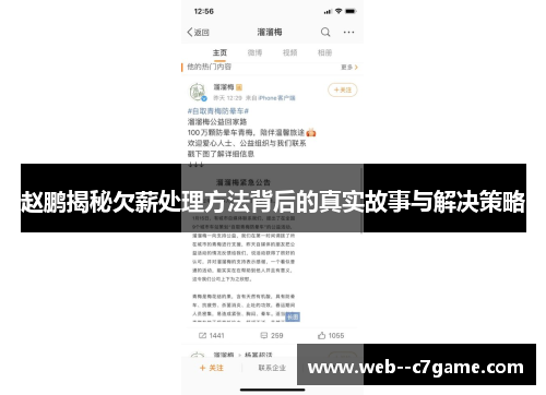 赵鹏揭秘欠薪处理方法背后的真实故事与解决策略 赵鹏揭秘欠薪处理方法背后的真实故事与解决策略