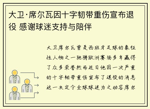 大卫·席尔瓦因十字韧带重伤宣布退役 感谢球迷支持与陪伴